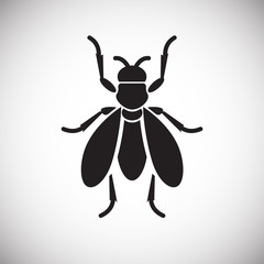 Fly Insect icon on white background for graphic and web design, Modern simple vector sign. Internet concept. Trendy symbol for website design web button or mobile app