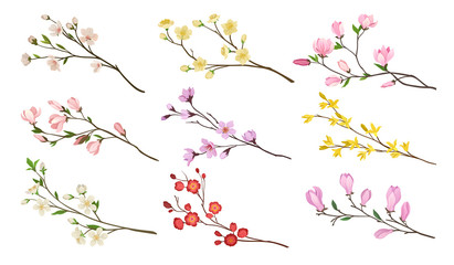 Set of blooming branches of fruit trees. Twigs with flowers and green leaves. Nature theme. Detailed flat vector icons