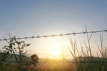 Obraz premium Sunset over fields with barbed wire fences.