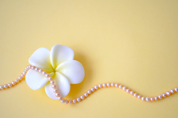 Horizontal background from beads from natural sea pink pearls and a white flower on a yellow background