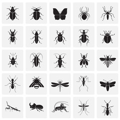 Insects icons set on squares background for graphic and web design, Modern simple vector sign. Internet concept. Trendy symbol for website design web button or mobile app