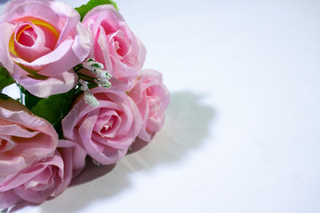 Obraz na płótnie Canvas Pink roses on white background photoshoot. Valentine day