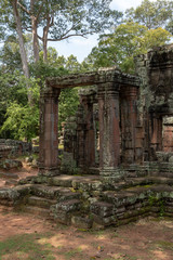 Naklejka premium Ruins of Banteay Kdei columns in trees