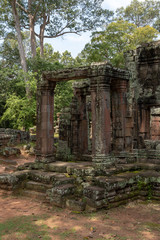 Ruins of Banteay Kdei columns in trees