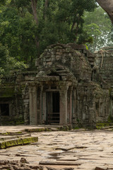 Fototapeta premium Ruined temple entrance with columns in trees