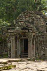 Fototapeta premium Ruined temple entrance with columns in jungle