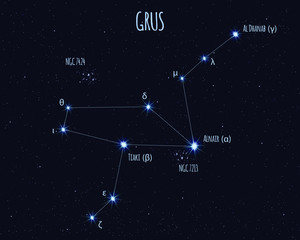 Grus (The Crane) constellation, vector illustration with the names of basic stars against the starry sky 