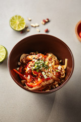 Chinese noodles with chicken and sauce