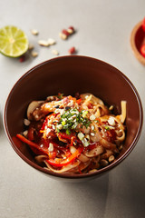 Chinese noodles with chicken and sauce