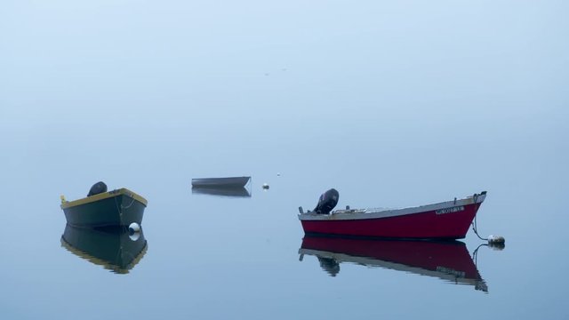 Three dinghy fishing boats at anchor in a quiet foggy cove with no horizon line visible.
