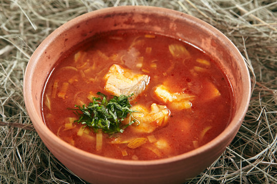 Vintage Ceramic Bowl of Red Fish Soup with Salmon and Pike Perch