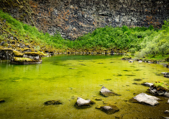 Green lake in forest in Iceland