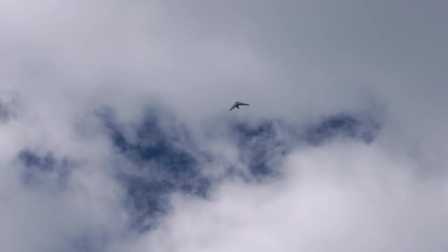 Hang glider soaring high on a beautiful day with blue sky and clouds