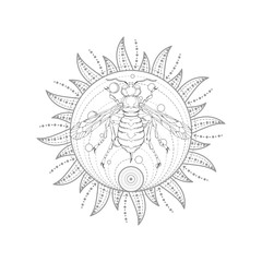 Vector illustration with hand drawn wasp and Sacred symbol on white background. Abstract mystic sign. Black linear shape. For you design, tattoo or magic craft.