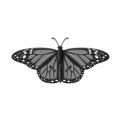 Vector design of insect and fly sign. Set of insect and element stock symbol for web.