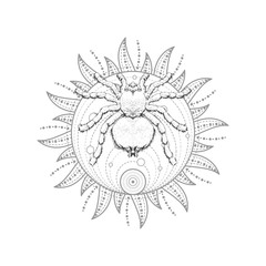 Vector illustration with hand drawn spider and Sacred geometric symbol on white background. Abstract mystic sign. Black linear shape. For you design, tattoo or magic craft.