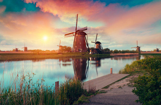 Fototapeta Dramatic spring scene on the tulip farm. Colorful sunset in Netherlands, Europe.