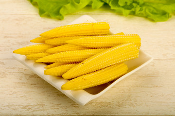 Young baby corn
