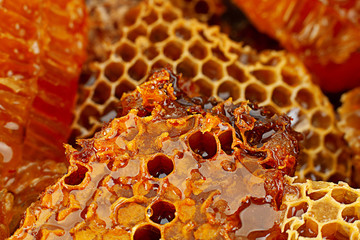 Honeycomb slice closeup background