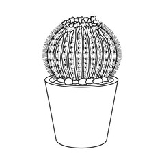 Isolated object of cactus and pot logo. Collection of cactus and cacti vector icon for stock.