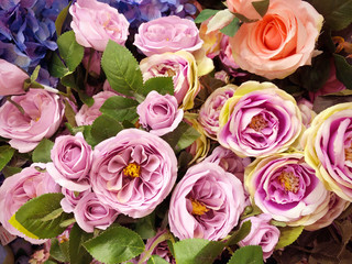 closeup beautiful rose background purple pink color, group of flower in vintage style background, detail of beautiful group of violet pink flower for decoration background