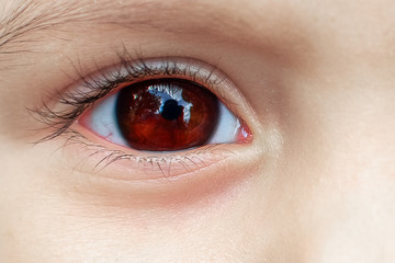 Fototapeta na wymiar human eye close-up