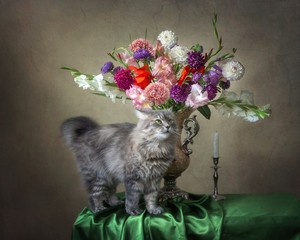 Still life with luxurious bouquet of flowers and curious kitty