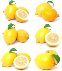 Fototapeta na wymiar Lemon fruit