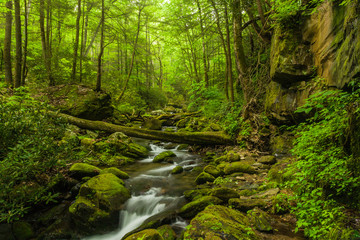 Fototapeta na wymiar Roaring Fork, Great Smoky Mountains National Park, Tennessee, United States
