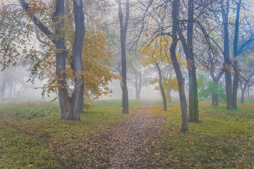 Park in the fog. Ukraine