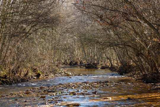 Cauce del R&iacute;o Duerna. Priaranza de la Valduerna, Le&oacute;n, Espa&ntilde;a.