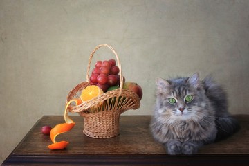Still life with ripe fruits and pretty kitty