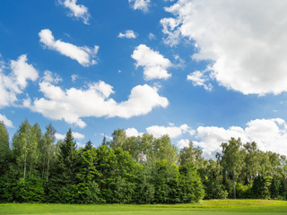 Countryside field natural background. Green grass and blue sky. Cloudscape in sunny day. Russia.