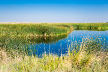 Seedskadee National Wildlife Refuge in Wyoming, Green River, USA