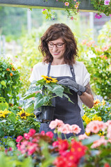 Freundlich lächelnde Gärtnerin im Gewächshaus mit einem Blumentopf