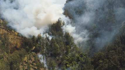 fire in mountain forest. aerial view forest fire and smoke on slopes hills. wild fire in mountains in tropical forest, Java Indonesia. natural disaster fire in Southeast Asia