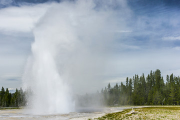 Daisy Geyser, Yellowstone National Park, Wyoming, United States