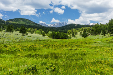 Fototapeta premium Upper Beaver Meadows, Rocky Mountain National Park, Colorado, United States