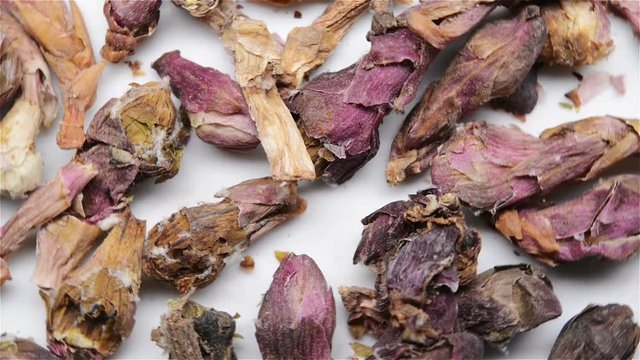 Chinese herb medicine of Farfarae Flos or Common Coltsfoot Flower