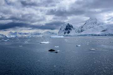 Snow, ice, glaciers, ocean water, clouds and penguins - a typical scene for Antarctica tourism