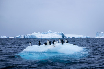 Snow, ice, glaciers, ocean water, clouds and penguins - a typical scene for Antarctica tourism