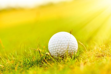 golf ball on green grass