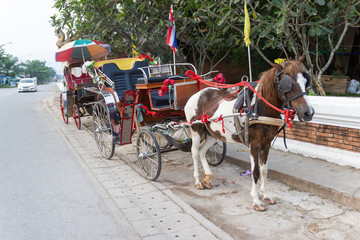 Fototapeta na wymiar CARRIAGE HORSES STATION Lampang THAILAND Lampang is the only province in Thailand that still use horse-drawn carriage ride to the city