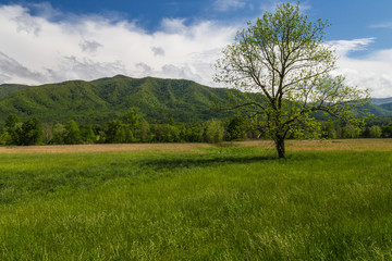 Obraz premium Cades Cove, Great Smoky Mountains National Park, Tennessee, United States