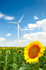 The wind generator in sunflower field. Beautiful landscape with bright cloudy sky. Eco energy concept.
