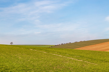 Fields in Sussex on a sunny winters day