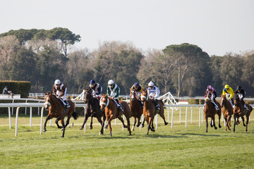Sprint finale