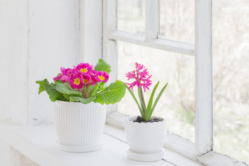 Fototapeta na wymiar spring flowers on windowsill
