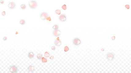 Vector Realistic Petals and Hearts Confetti. Flying Sakura and Hearts on Transparent Background. Wedding Invitation Background. Spring Romance Poster. Vector Illustration for Anniversary Design.