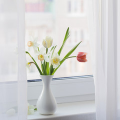 spring flowers in white vase